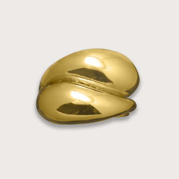 CH-10K-NO-AN-M-D-00-AR-010-01 Anillo de chapa de oro 18K con diseño escultural y acabado pulido, una pieza elegante y moderna para un toque único de sofisticación.